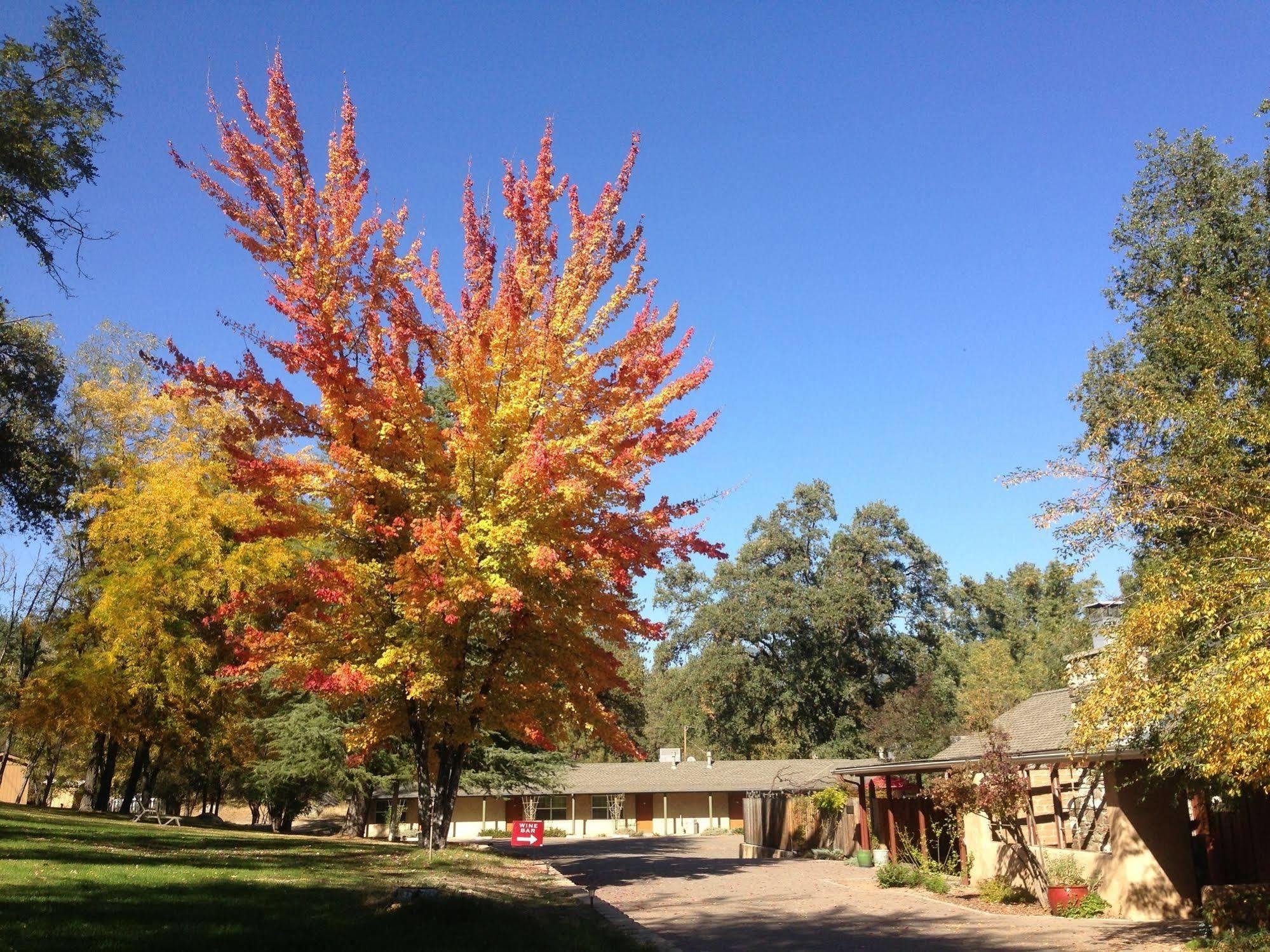 Queen'S Inn By The River Oakhurst Exteriér fotografie